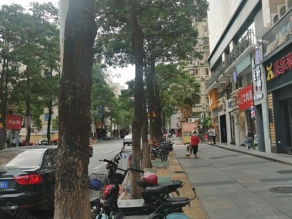 湖滨北路300平门宽15米以上好店出租，适合超市茶烟酒，大照/集体照_图7